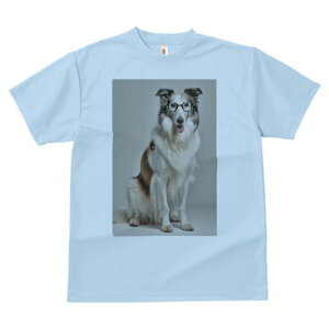 R[ TVc  j[NfUCfB[X t@  t vg lJWA 킢 lԗp Mtg I ҏ΍ Kl R[