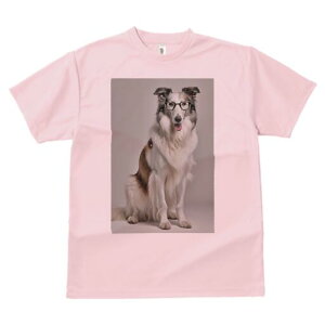 R[ TVc  j[NfUCY LbY t@  t vg lJWA 킢 lԗp Mtg I ҏ΍ Kl R[