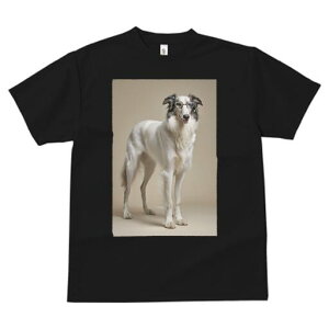 {]C TVc  j[NfUCfB[X t@  t vg lJWA 킢 lԗp Mtg I ҏ΍ Kl {]C