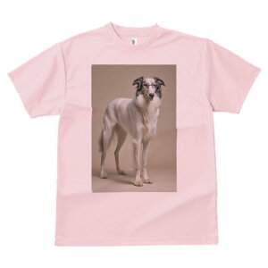 {]C TVc  j[NfUCfB[X t@  t vg lJWA 킢 lԗp Mtg I ҏ΍ Kl {]C