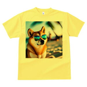 Č TVc  j[NfUCY LbY t@  t vg lJWA 킢 lԗp Mtg I ҏ΍ TOX Č r[` l V̖