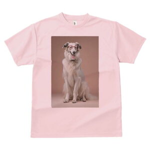 {]C TVc  j[NfUCfB[X t@  t vg lJWA 킢 lԗp Mtg I ҏ΍ Kl {]C