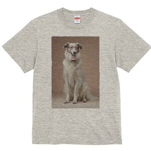 {]C TVc  j[NfUCfB[X t@  t vg lJWA 킢 lԗp Mtg I ҏ΍ Kl {]C