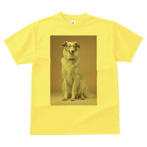 {]C TVc  j[NfUCfB[X t@  t vg lJWA 킢 lԗp Mtg I ҏ΍ Kl {]C