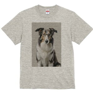 {[_[R[ TVc  j[NfUCfB[X t@  t vg lJWA 킢 lԗp Mtg I ҏ΍ Kl {[_[R[