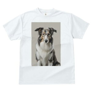 {[_[R[ TVc  j[NfUCfB[X t@  t vg lJWA 킢 lԗp Mtg I ҏ΍ Kl {[_[R[