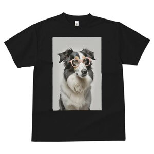 {[_[R[ TVc  j[NfUCfB[X t@  t vg lJWA 킢 lԗp Mtg I ҏ΍ Kl {[_[R[