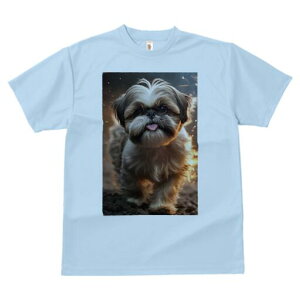 V[Y[ TVc  j[NfUCfB[X t@  t vg lJWA 킢 lԗp Mtg I ҏ΍ V[Y[