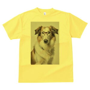 R[ TVc  j[NfUCY LbY t@  t vg lJWA 킢 lԗp Mtg I ҏ΍ Kl R[