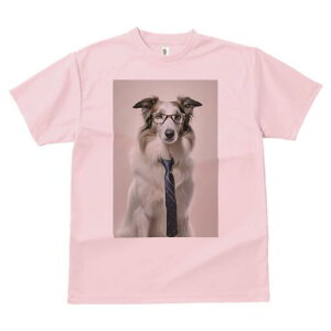 {]C TVc  j[NfUCfB[X t@  t vg lJWA 킢 lԗp Mtg I ҏ΍ lN^C {]C ዾ