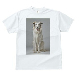 {[_[R[ TVc  j[NfUCfB[X t@  t vg lJWA 킢 lԗp Mtg I ҏ΍ Kl {[_[R[