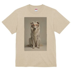 {]C TVc  j[NfUCfB[X t@  t vg lJWA 킢 lԗp Mtg I ҏ΍ Kl {]C