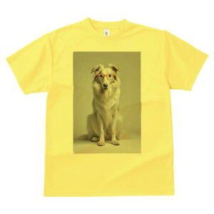 {]C TVc  j[NfUCfB[X t@  t vg lJWA 킢 lԗp Mtg I ҏ΍ Kl {]C