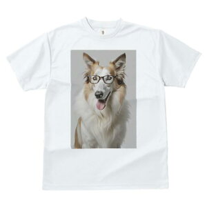 R[ TVc  j[NfUCY LbY t@  t vg lJWA 킢 lԗp Mtg I ҏ΍ Kl R[