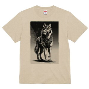 nXL[ TVc  j[NfUCfB[X t@  t vg lJWA 킢 lԗp Mtg I ҏ΍ nXL[