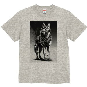 nXL[ TVc  j[NfUCfB[X t@  t vg lJWA 킢 lԗp Mtg I ҏ΍ nXL[