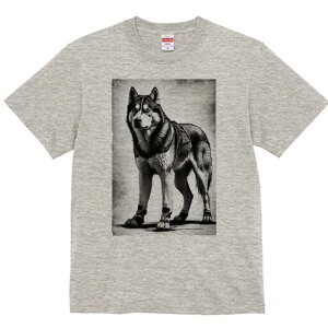 VxAnXL[ TVc  j[NfUCfB[X t@  t vg lJWA 킢 lԗp Mtg I ҏ΍ n[lX VxAnXL[ u[c