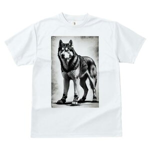 VxAnXL[ TVc  j[NfUCfB[X t@  t vg lJWA 킢 lԗp Mtg I ҏ΍ n[lX VxAnXL[ u[c