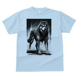 nXL[ TVc  j[NfUCfB[X t@  t vg lJWA 킢 lԗp Mtg I ҏ΍ Z nXL[