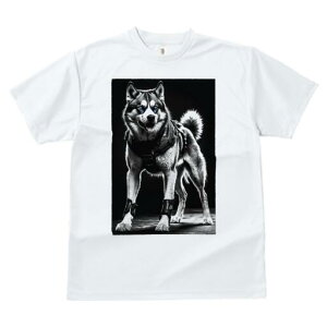 nXL[ TVc  j[NfUCfB[X t@  t vg lJWA 킢 lԗp Mtg I ҏ΍ nXL[