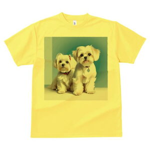 }`[Y TVc  j[NfUCfB[X t@  t vg lJWA 킢 lԗp Mtg I ҏ΍ }`[Y