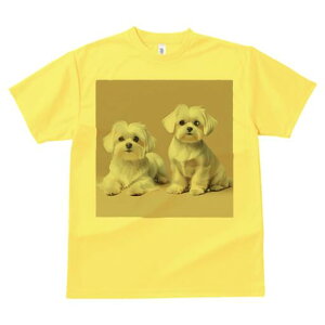 }`[Y TVc  j[NfUCfB[X t@  t vg lJWA 킢 lԗp Mtg I ҏ΍ }`[Y