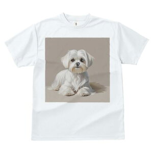 }`[Y TVc  j[NfUCfB[X t@  t vg lJWA 킢 lԗp Mtg I ҏ΍ }`[Y