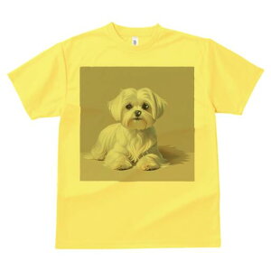 }`[Y TVc  j[NfUCfB[X t@  t vg lJWA 킢 lԗp Mtg I ҏ΍ }`[Y