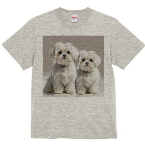 }`[Y TVc  j[NfUCfB[X t@  t vg lJWA 킢 lԗp Mtg I ҏ΍ }`[Y