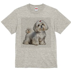 }`[Y TVc  j[NfUCfB[X t@  t vg lJWA 킢 lԗp Mtg I ҏ΍  }`[Y ybg 킢 炵