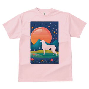 �{���]�C T�V���c ���� ���j�[�N�f�U�C�����f�B�[�X ���t�@�� ���� �t�� �v�����g ��l�J�W���A�� ���킢�� �l�ԗp �M�t�g ���I �ҏ��΍� �� �{���]�C �� �R ��