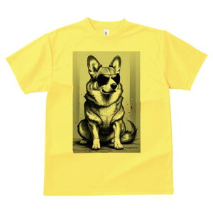 R[M[ TVc  j[NfUCfB[X t@  t vg lJWA 킢 lԗp Mtg I ҏ΍ TOX R[M[ N[