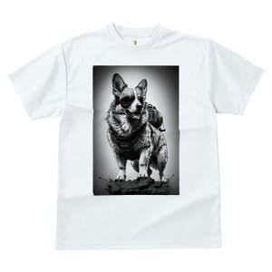 R[M[ TVc  j[NfUCfB[X t@  t vg lJWA 킢 lԗp Mtg I ҏ΍ S[O R[M[ obNpbN