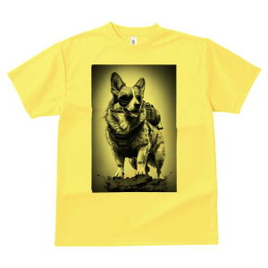 R[M[ TVc  j[NfUCfB[X t@  t vg lJWA 킢 lԗp Mtg I ҏ΍ S[O R[M[ obNpbN