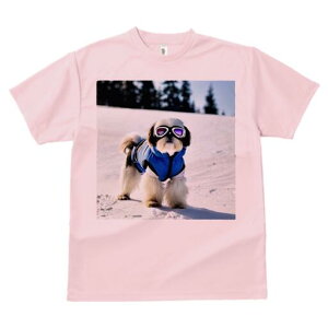 V[Y[ TVc  j[NfUCY LbY t@  t vg lJWA 킢 lԗp Mtg I ҏ΍  V[Y[ ~ XL[EFA S[O