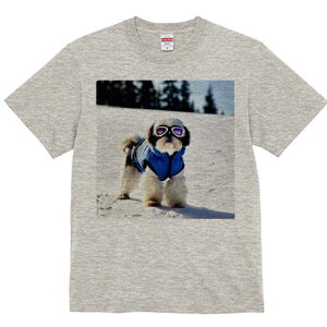 V[Y[ TVc  j[NfUCY LbY t@  t vg lJWA 킢 lԗp Mtg I ҏ΍  V[Y[ ~ XL[EFA S[O