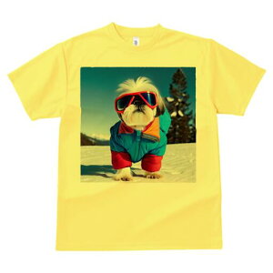 V[Y[ TVc  j[NfUCfB[X t@  t vg lJWA 킢 lԗp Mtg I ҏ΍ XL[EFA V[Y[ R XL[S[O