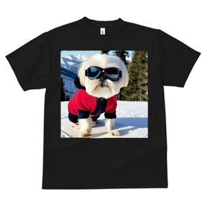 V[Y[ TVc  j[NfUCfB[X t@  t vg lJWA 킢 lԗp Mtg I ҏ΍ XL[ V[Y[ ~ R XL[EFA