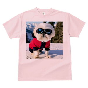 V[Y[ TVc  j[NfUCY LbY t@  t vg lJWA 킢 lԗp Mtg I ҏ΍ XL[ V[Y[ ~ R XL[EFA