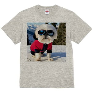 V[Y[ TVc  j[NfUCfB[X t@  t vg lJWA 킢 lԗp Mtg I ҏ΍ XL[ V[Y[ ~ R XL[EFA