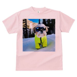 V[Y[ TVc  j[NfUCfB[X t@  t vg lJWA 킢 lԗp Mtg I ҏ΍  V[Y[ R XL[EFA S[O