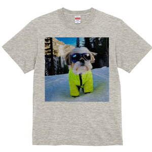 V[Y[ TVc  j[NfUCfB[X t@  t vg lJWA 킢 lԗp Mtg I ҏ΍  V[Y[ R XL[EFA S[O