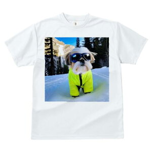 V[Y[ TVc  j[NfUCfB[X t@  t vg lJWA 킢 lԗp Mtg I ҏ΍  V[Y[ R XL[EFA S[O