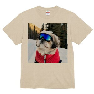 V[Y[ TVc  j[NfUCfB[X t@  t vg lJWA 킢 lԗp Mtg I ҏ΍ XL[EFA V[Y[ XL[S[O R