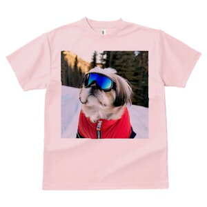 V[Y[ TVc  j[NfUCfB[X t@  t vg lJWA 킢 lԗp Mtg I ҏ΍ XL[EFA V[Y[ XL[S[O R