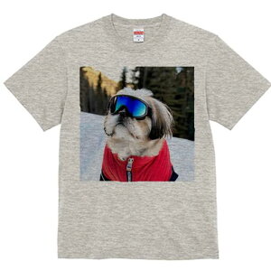 V[Y[ TVc  j[NfUCfB[X t@  t vg lJWA 킢 lԗp Mtg I ҏ΍ XL[EFA V[Y[ XL[S[O R