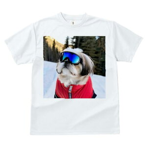 V[Y[ TVc  j[NfUCY LbY t@  t vg lJWA 킢 lԗp Mtg I ҏ΍ XL[EFA V[Y[ XL[S[O R