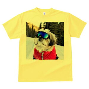 V[Y[ TVc  j[NfUCfB[X t@  t vg lJWA 킢 lԗp Mtg I ҏ΍ XL[EFA V[Y[ XL[S[O R