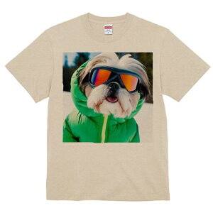 V[Y[ TVc  j[NfUCfB[X t@  t vg lJWA 킢 lԗp Mtg I ҏ΍ XL[EFA V[Y[ S[O 