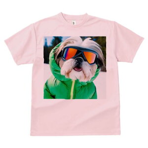 V[Y[ TVc  j[NfUCfB[X t@  t vg lJWA 킢 lԗp Mtg I ҏ΍ XL[EFA V[Y[ S[O 